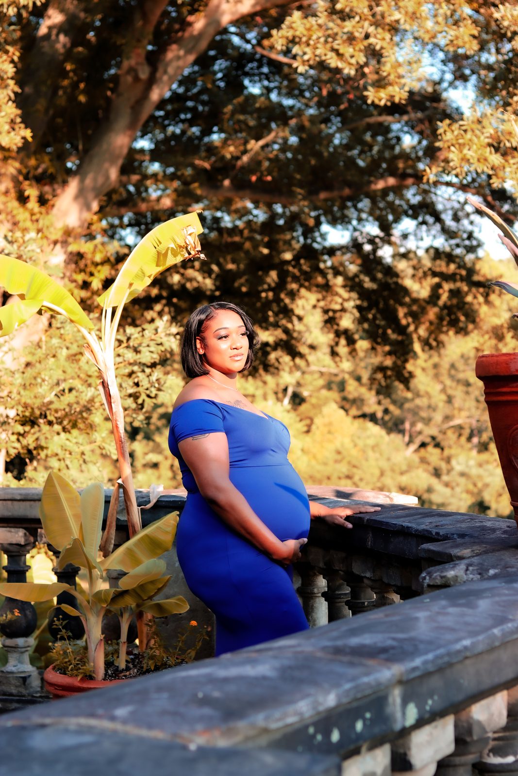 Maternity portrait at golden hour in royal blue